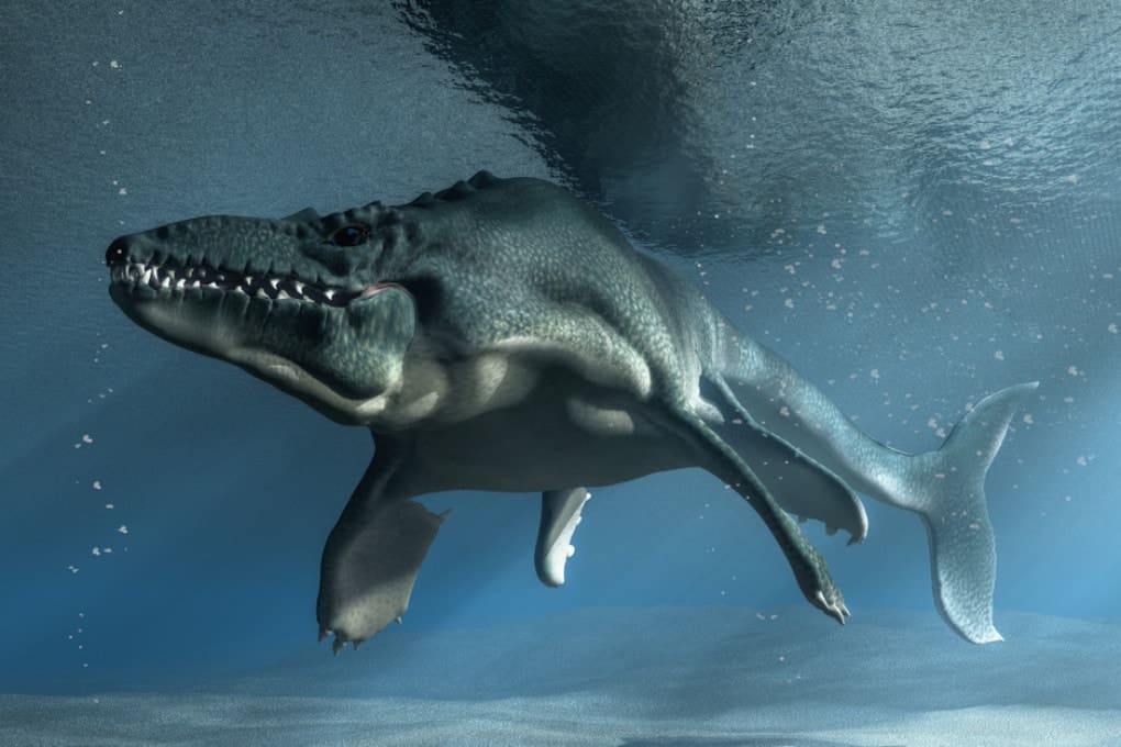 Mosasaurio: se descubren nuevas especies de antiguos reptiles marinos |  