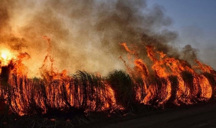Así afecta nuestra actividad al alargar la temporada de incendios en más de un mes