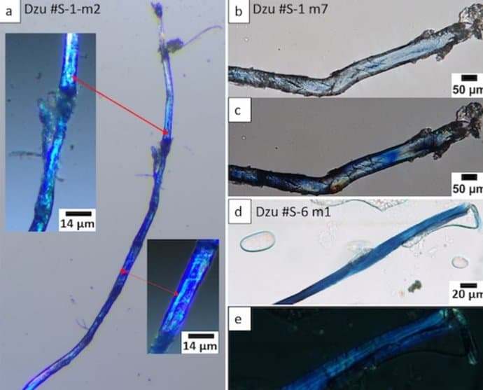 Hallan pruebas asombrosas del uso de colorante azul índigo hace 34.000 años