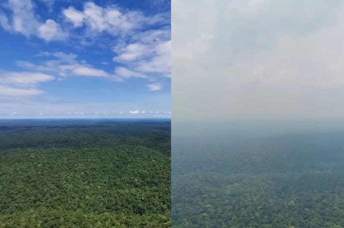 Por qué cada vez llueve menos en la Amazonia y cómo la deforestación está detrás