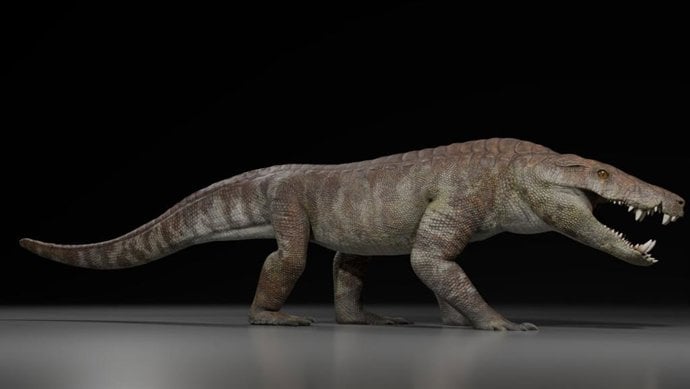 Un impresionante depredador hipercarnívoro del Cretácico emerge en la Patagonia